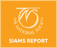SIAMS Report